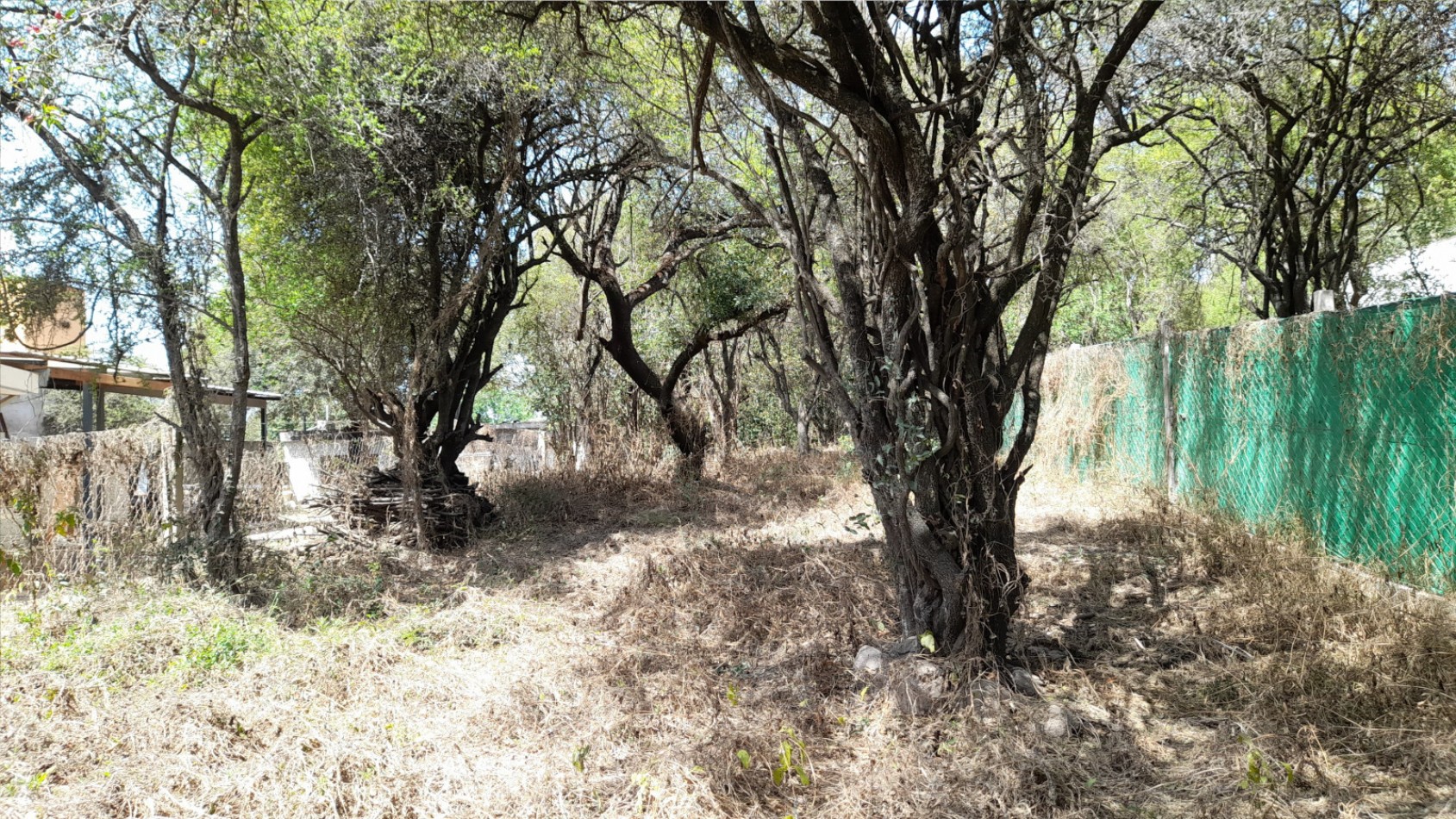 TERRENO EN VENTA 700 M2. VILLA LOS ALTOS. RIO CEBALLOS C/ESCRITURA.