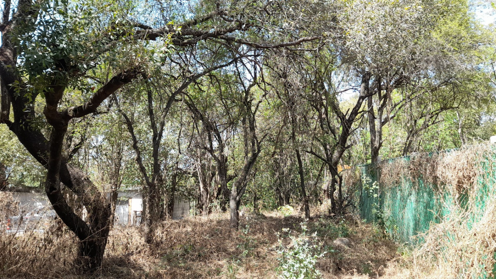 TERRENO EN VENTA 700 M2. VILLA LOS ALTOS. RIO CEBALLOS C/ESCRITURA.