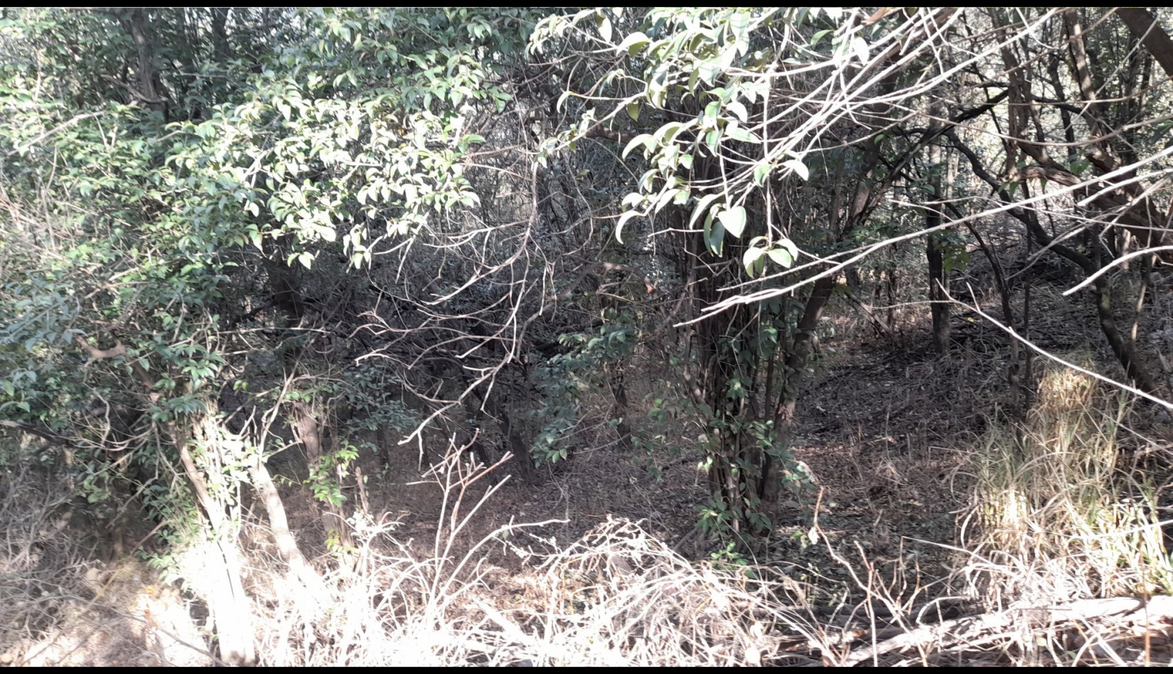 TERRENO EN VENTA. 840 m2. SIERRA NUEVA MENDIOLAZA. LISTO P/ESCRITURA.