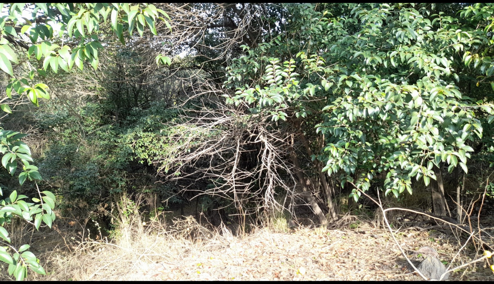 TERRENO EN VENTA. 840 m2. SIERRA NUEVA MENDIOLAZA. LISTO P/ESCRITURA.