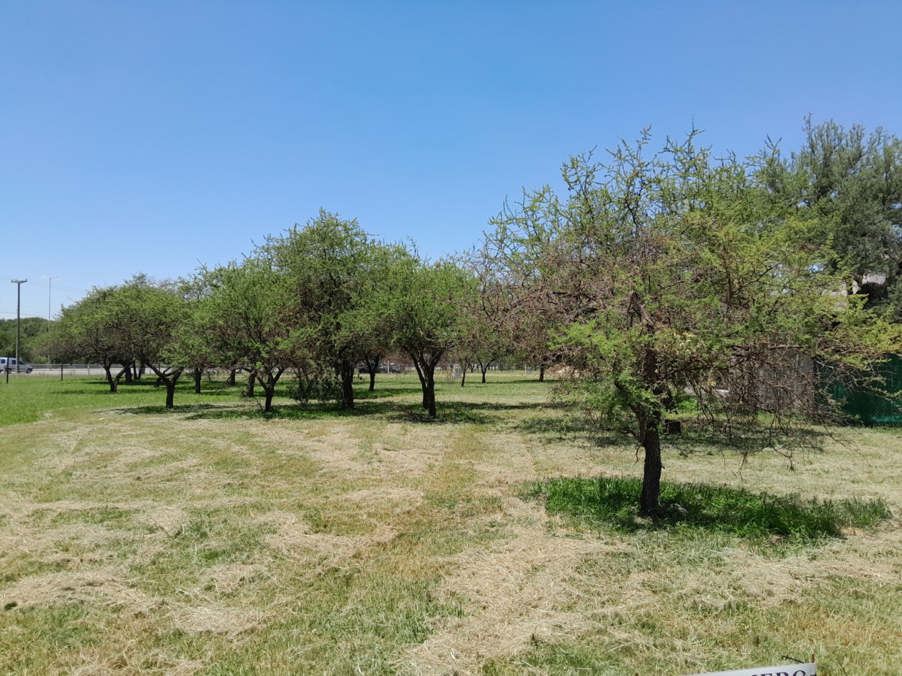 VENDO LOTE 700 M2 B° BELA VISTA, RIO CEBALLOS. ESCRITURA!!!