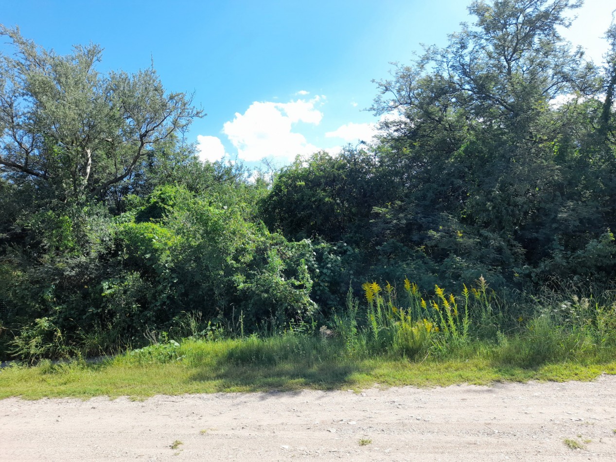 TERRENO EN VENTA 607,5 M2. B° PROSSUR-LOMAS DEL CHAÑAR- RIO CEBALLOS. CON ESCRITURA!!!!!