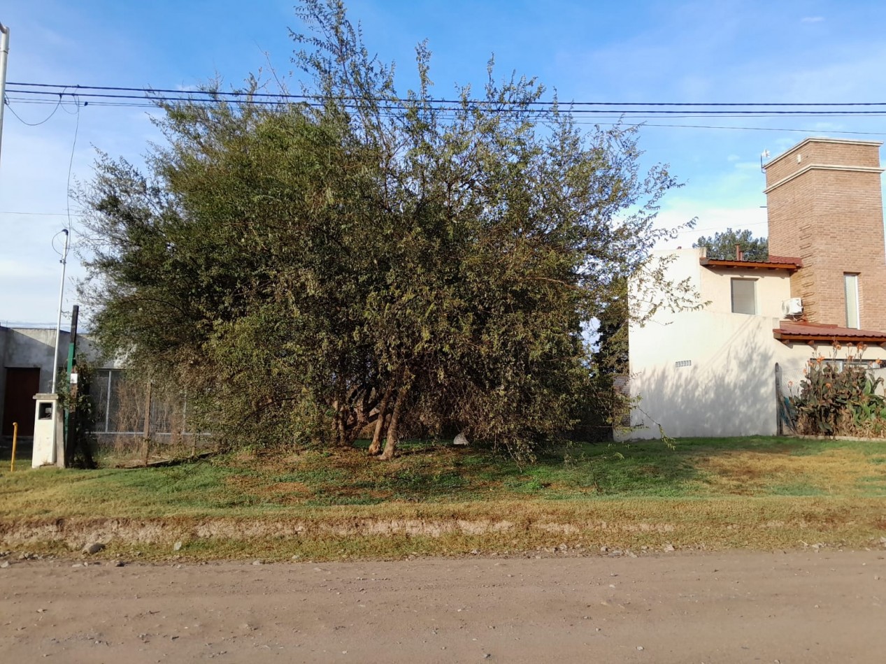 VENDO LOTE 405 M2 ETAPA LOS BOSQUES VILLA CATALINA. ESCRITURA!!!