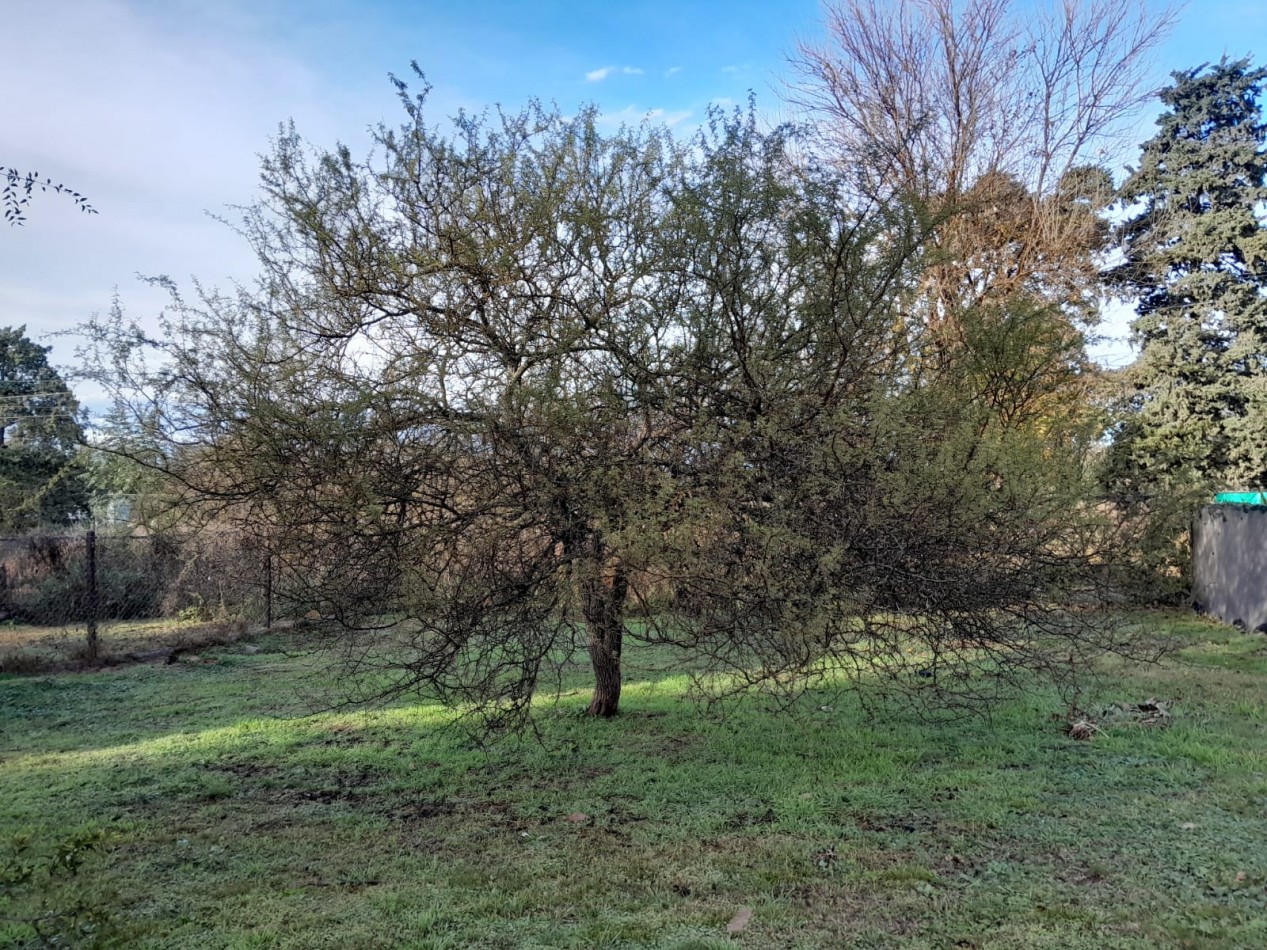 VENDO LOTE 405 M2 ETAPA LOS BOSQUES VILLA CATALINA. ESCRITURA!!!