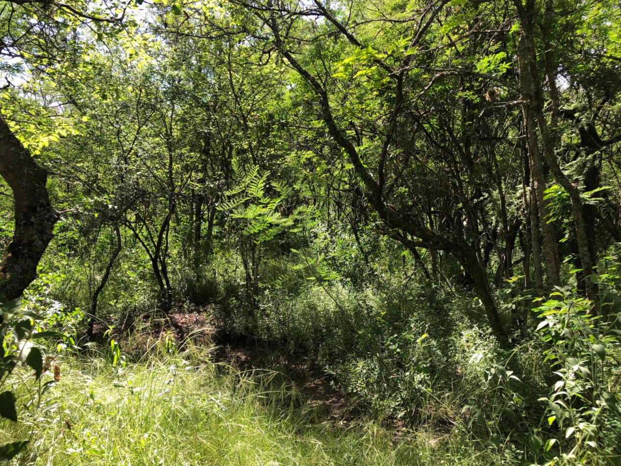 VENDO LOTE 290 M2 B° LOMAS DEL CHAÑAR (PROSSUR) - FINANCIACION!