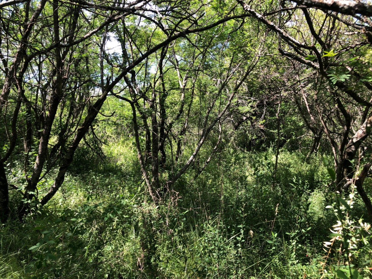 VENDO LOTE 290 M2 B° LOMAS DEL CHAÑAR (PROSSUR) - FINANCIACION!