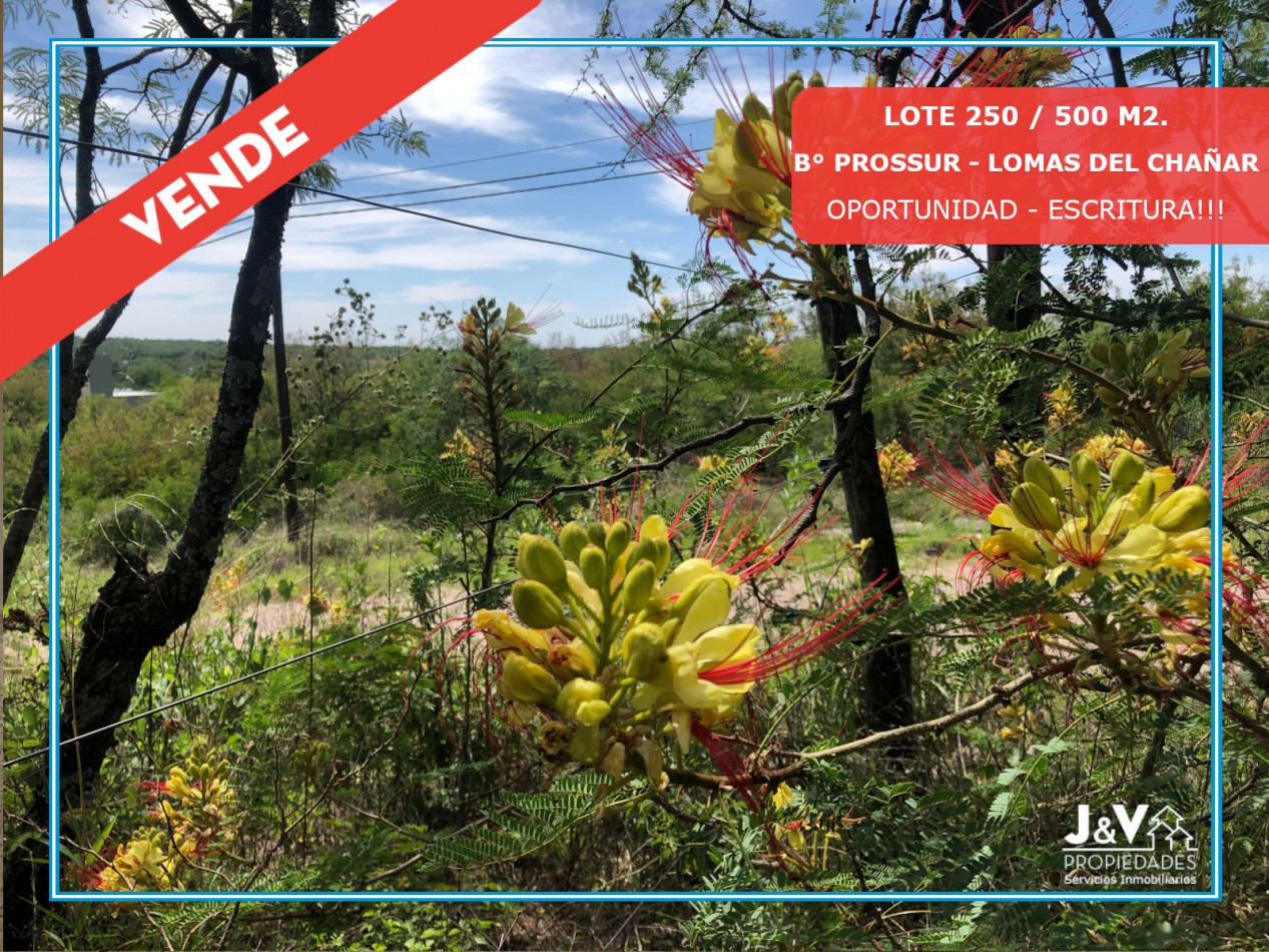 LOTE EN VENTA 250/500 M2. B° PROSSUR/LOMAS DEL CHAÑAR - VISTA PANORAMICA!!!