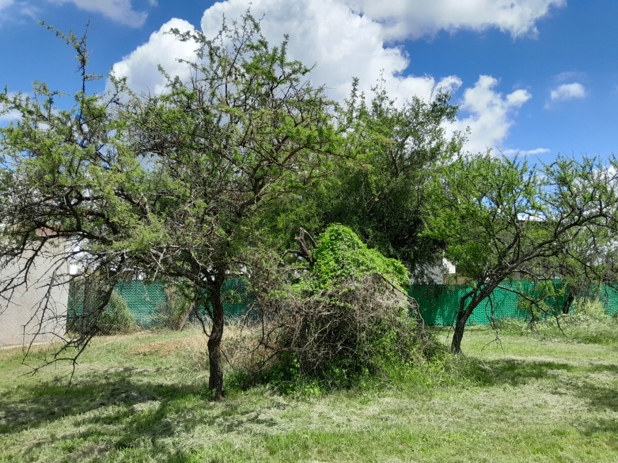 VENDO LOTE 476 M2 VILLA CATALINA 1° ETAPA. EXCELENTE UBICACION!!!