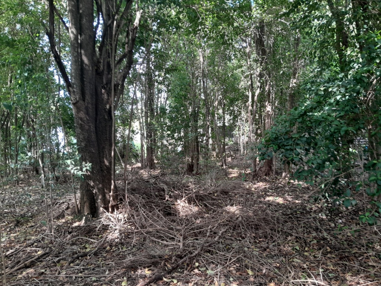 VENDO LOTE 400 m² - VILLA CATALINA. Etapa Campos Verdes | Con Escritura