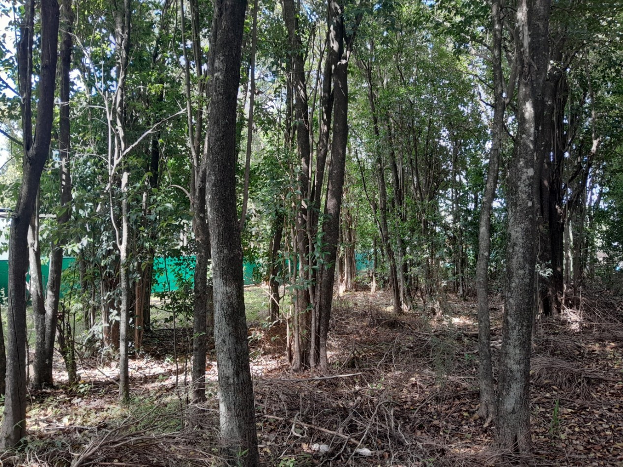 VENDO LOTE 400 m² - VILLA CATALINA. Etapa Campos Verdes | Con Escritura