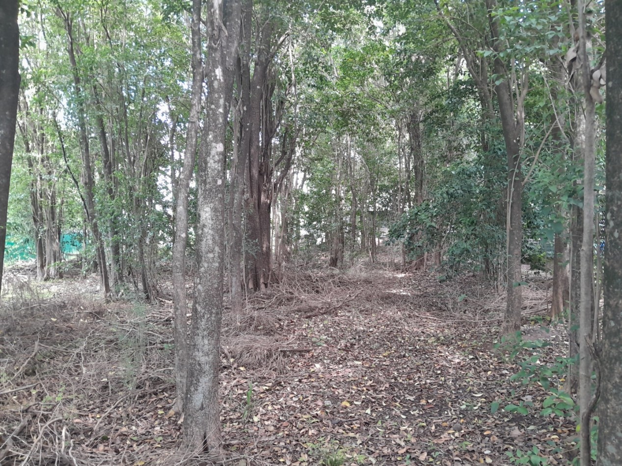 VENDO LOTE 400 m² - VILLA CATALINA. Etapa Campos Verdes | Con Escritura