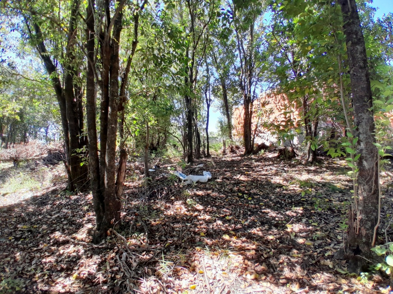 VENDO LOTE 300 m² - VILLA CATALINA | ETAPA CAMPOS VERDES - CON ESCRITURA