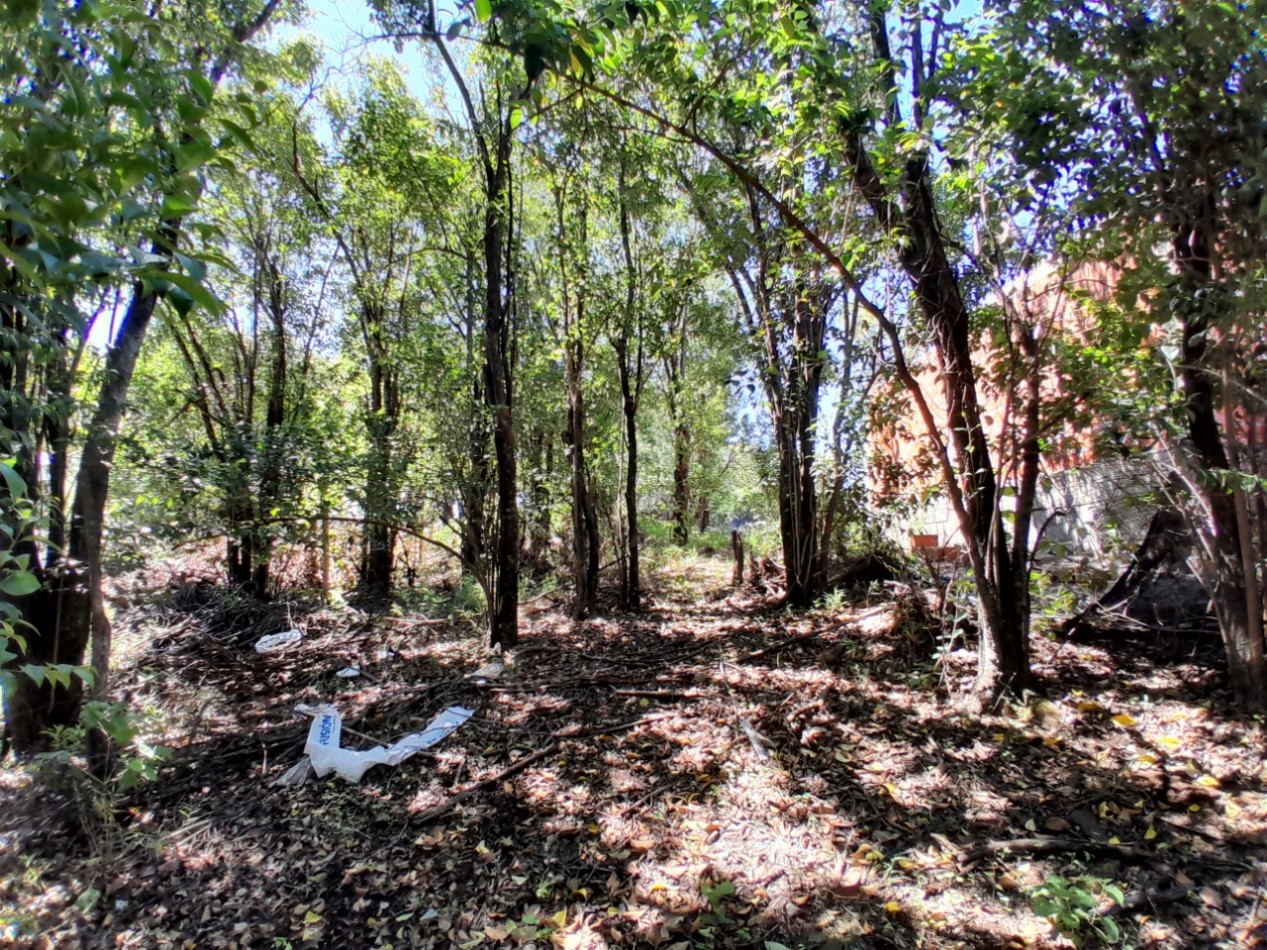 VENDO LOTE 300 m² - VILLA CATALINA | ETAPA CAMPOS VERDES - CON ESCRITURA