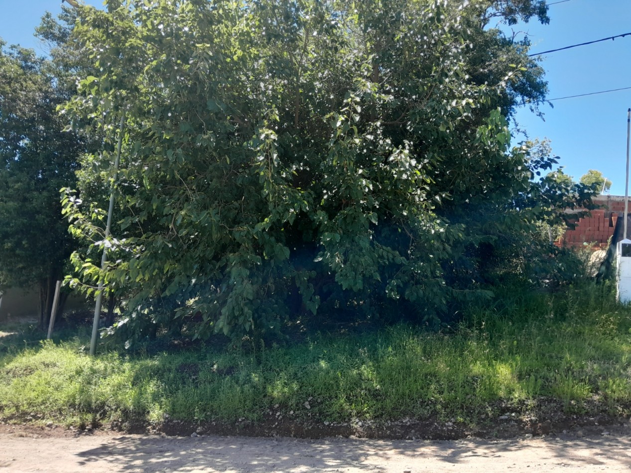 VENDO LOTE 300 m² - VILLA CATALINA | ETAPA CAMPOS VERDES - CON ESCRITURA