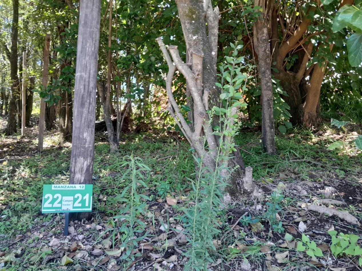 VENDO LOTE 300 m² - VILLA CATALINA | ETAPA CAMPOS VERDES - CON ESCRITURA