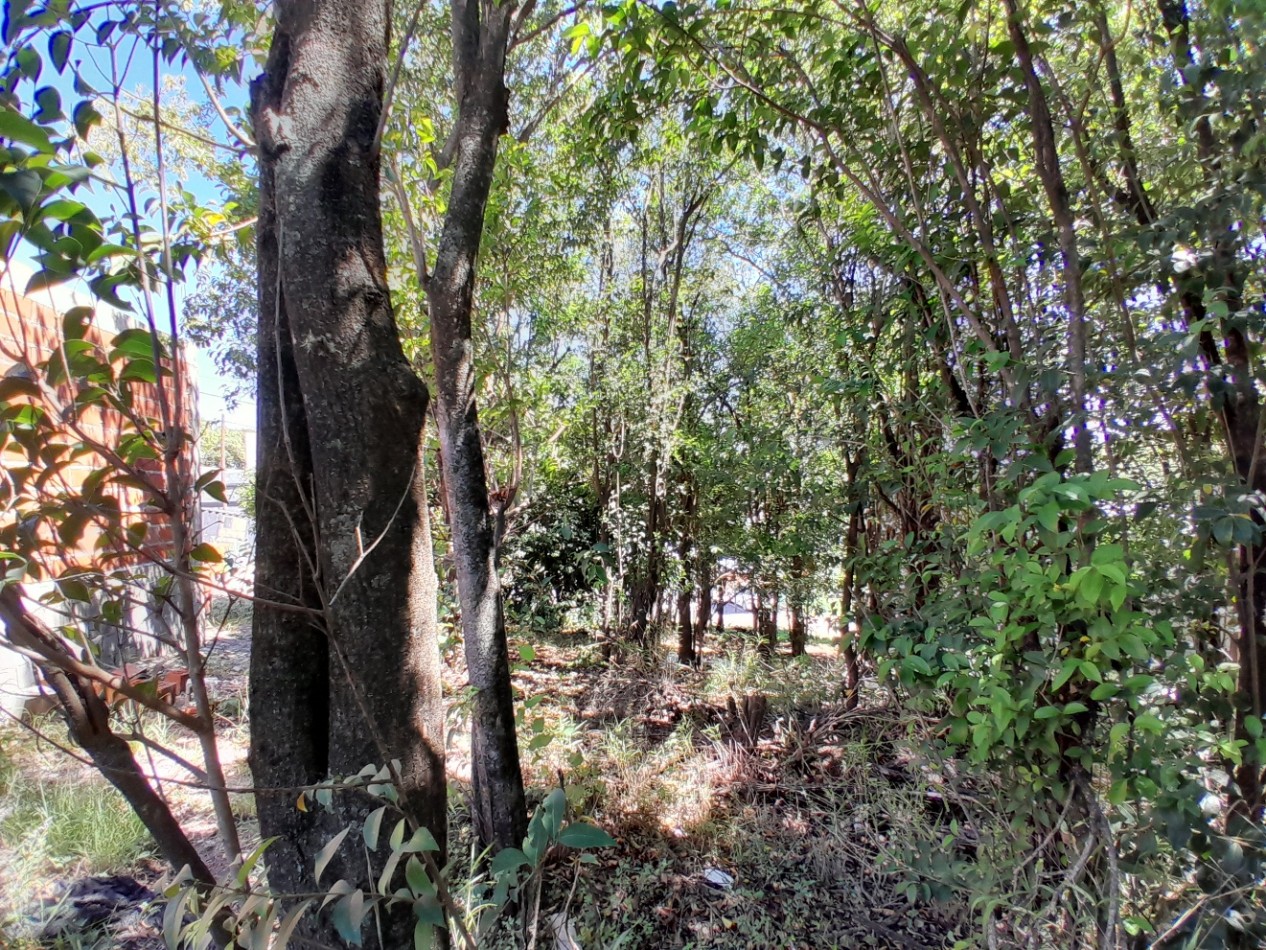 VENDO LOTE 300 m² - VILLA CATALINA | ETAPA CAMPOS VERDES - CON ESCRITURA