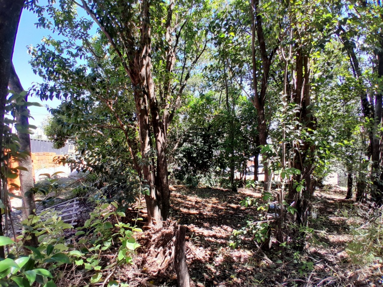 VENDO LOTE 300 m² - VILLA CATALINA | ETAPA CAMPOS VERDES - CON ESCRITURA