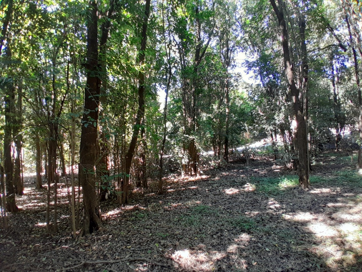 VENDO LOTE 477 m² - B° LOMA DEL CIGARRAL - LISTO PARA ESCRITURAR