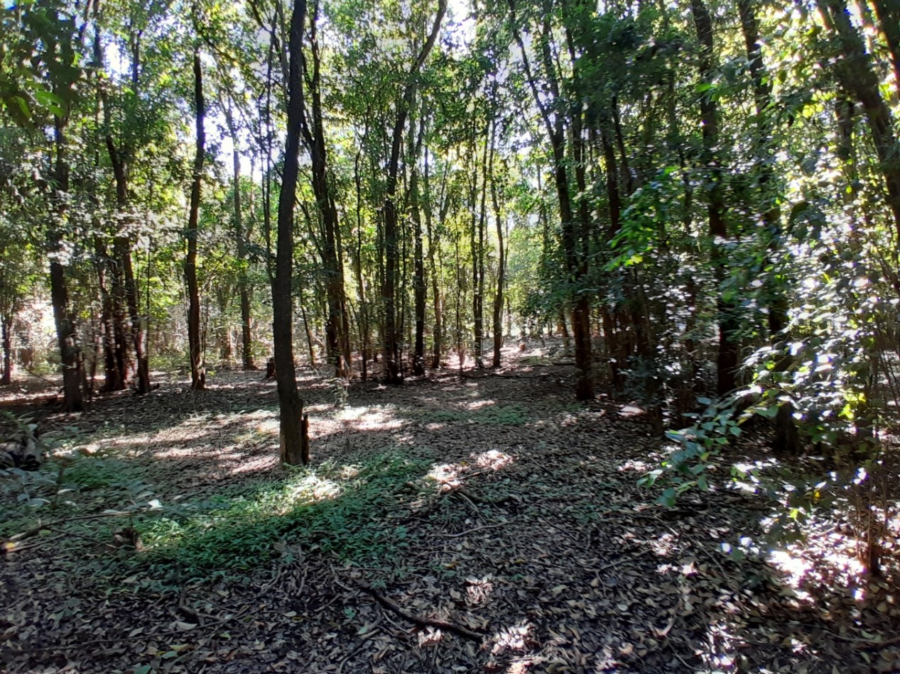 VENDO LOTE 477 m² - B° LOMA DEL CIGARRAL - LISTO PARA ESCRITURAR