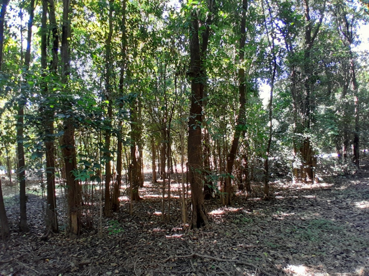 VENDO LOTE 477 m² - B° LOMA DEL CIGARRAL - LISTO PARA ESCRITURAR