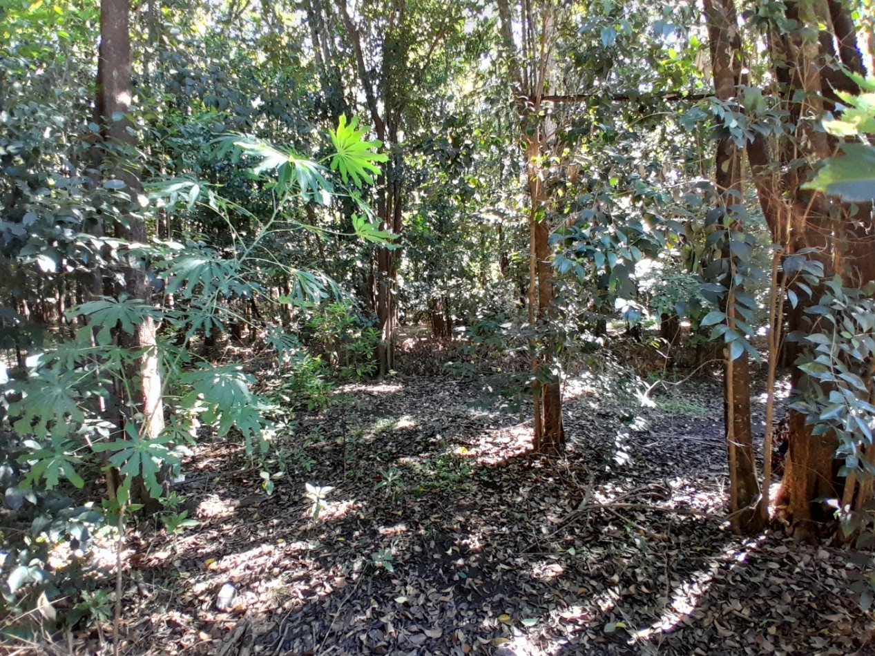 VENDO LOTE 477 m² - B° LOMA DEL CIGARRAL - LISTO PARA ESCRITURAR