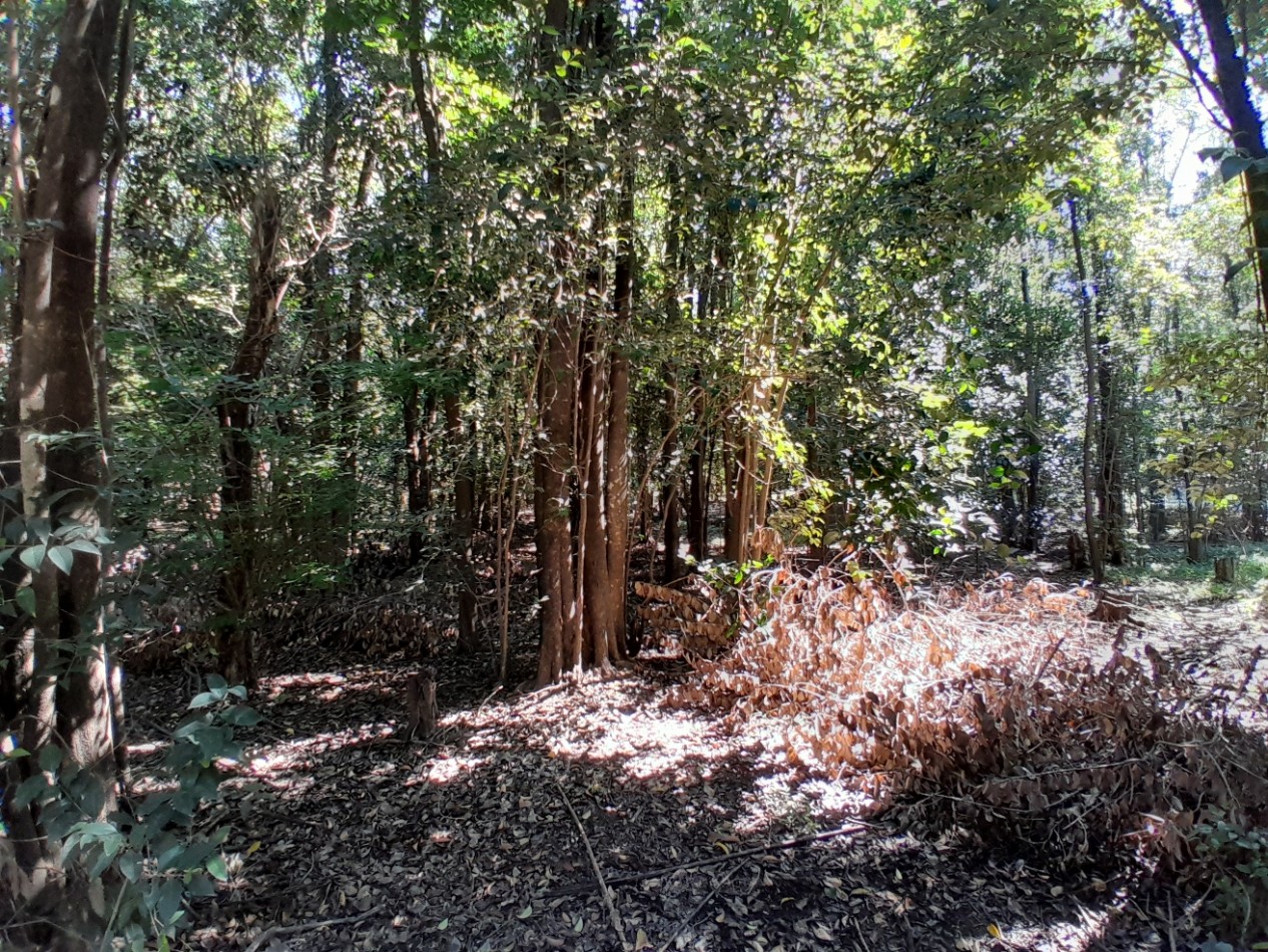 VENDO LOTE 477 m² - B° LOMA DEL CIGARRAL - LISTO PARA ESCRITURAR