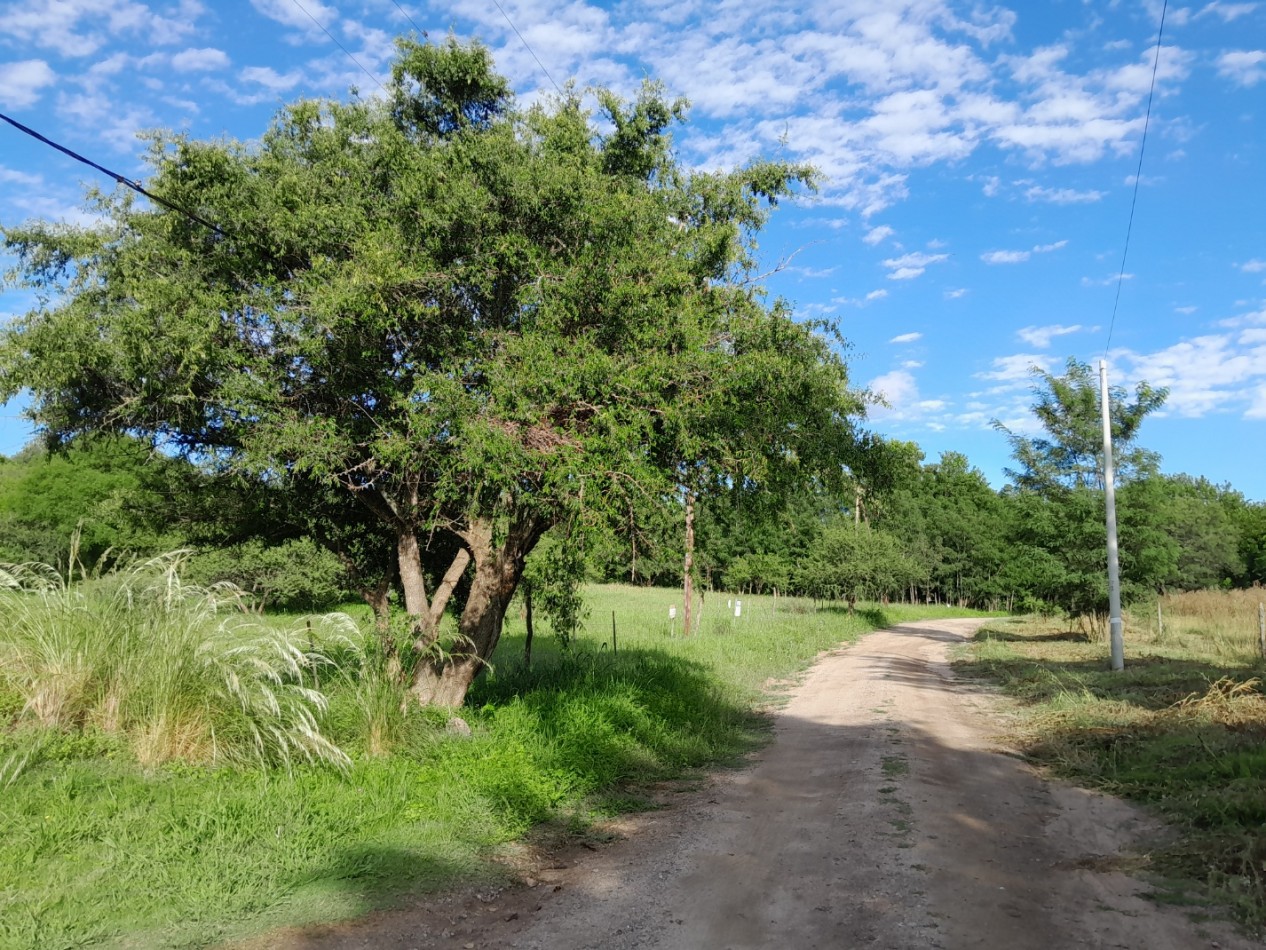 VENTA DE LOTES EN VERTIENTES DE LA GRANJA - CON ESCRITURA