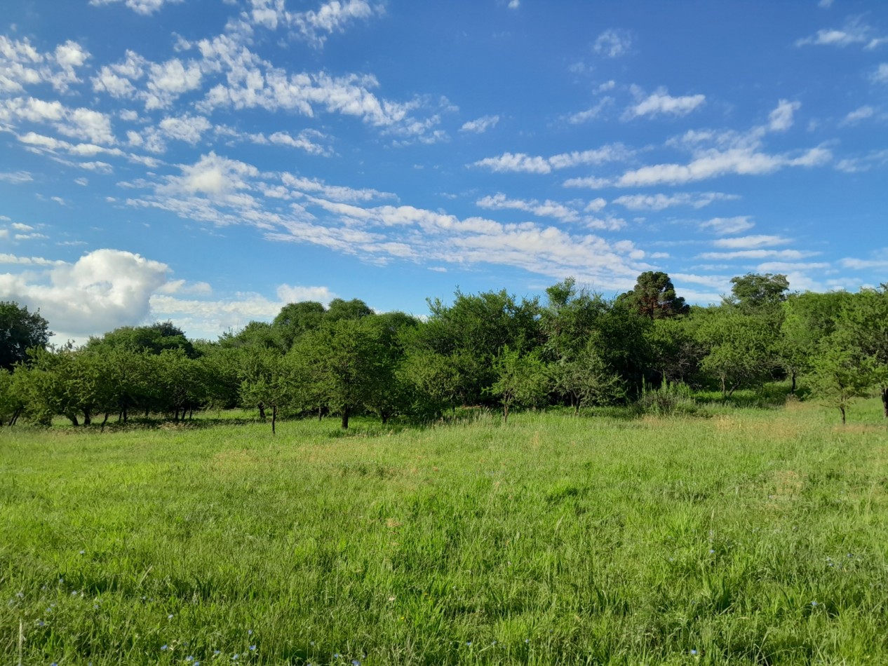 VENTA DE LOTES EN VERTIENTES DE LA GRANJA - CON ESCRITURA