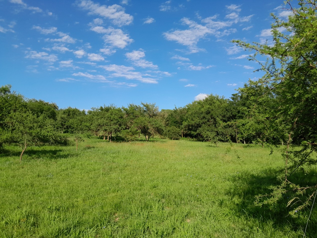 VENTA DE LOTES EN VERTIENTES DE LA GRANJA - CON ESCRITURA