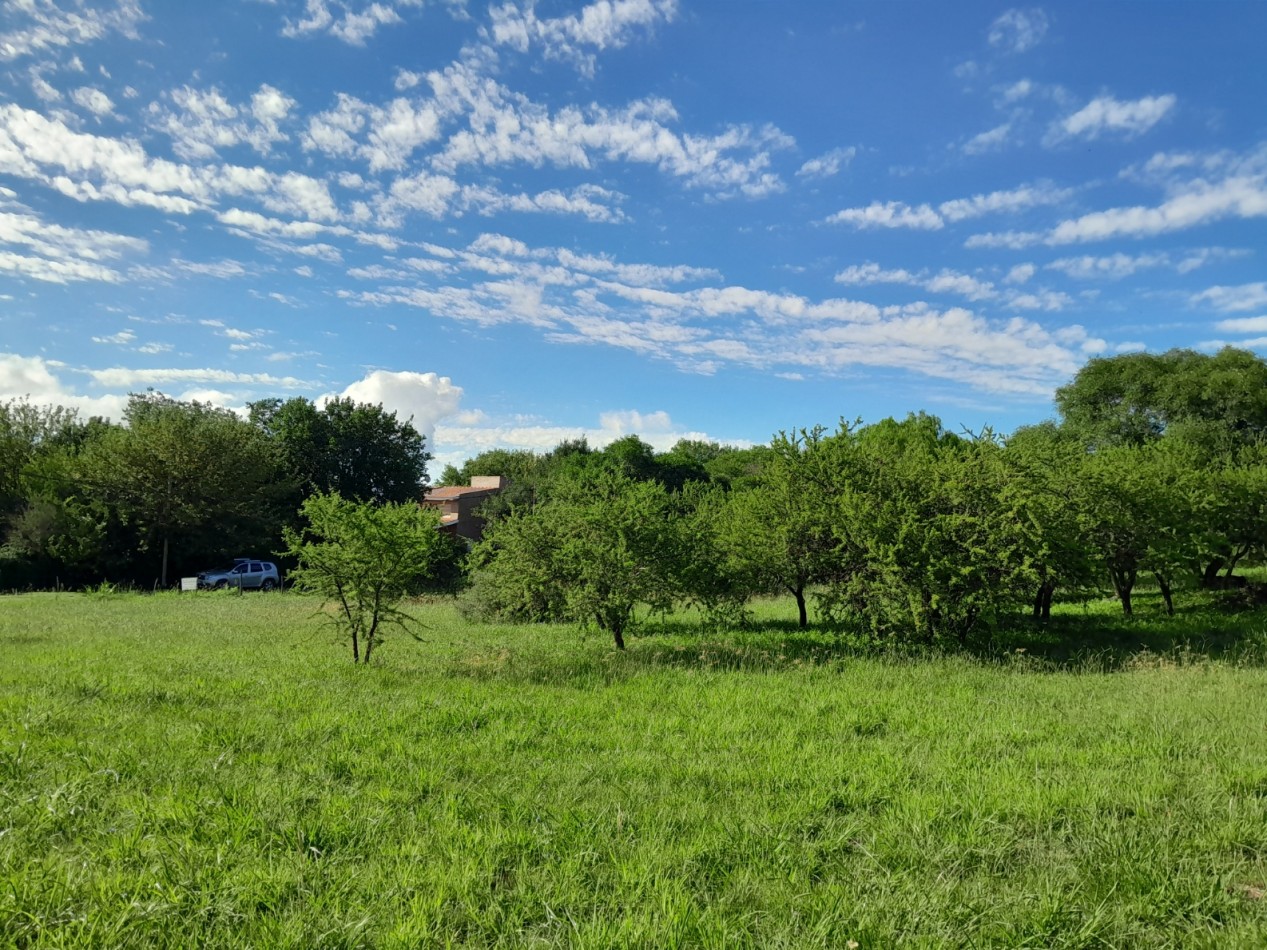 VENTA DE LOTES EN VERTIENTES DE LA GRANJA - CON ESCRITURA