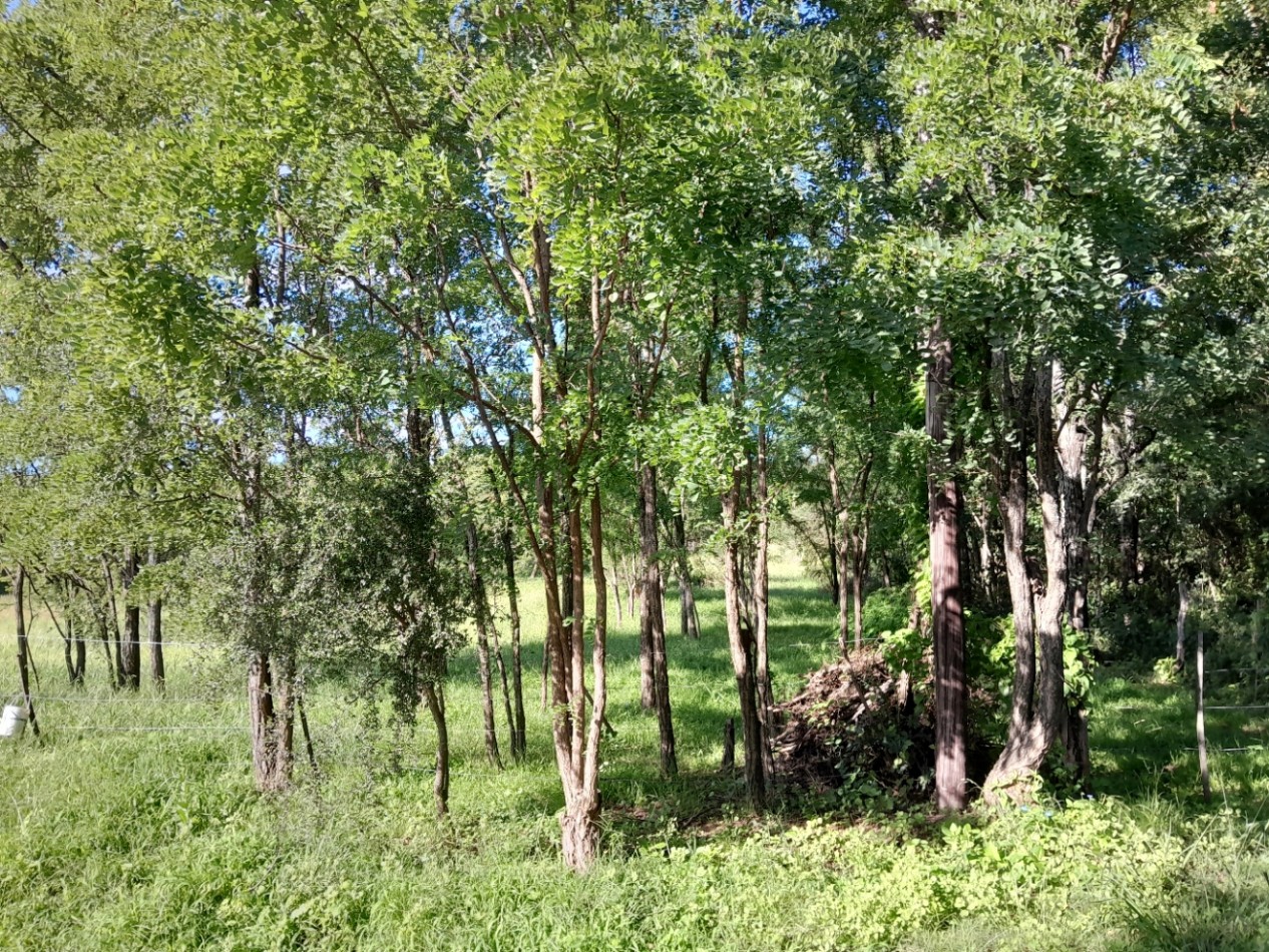 VENTA DE LOTES EN VERTIENTES DE LA GRANJA - CON ESCRITURA