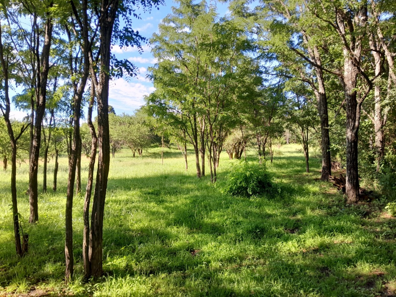 VENTA DE LOTES EN VERTIENTES DE LA GRANJA - CON ESCRITURA