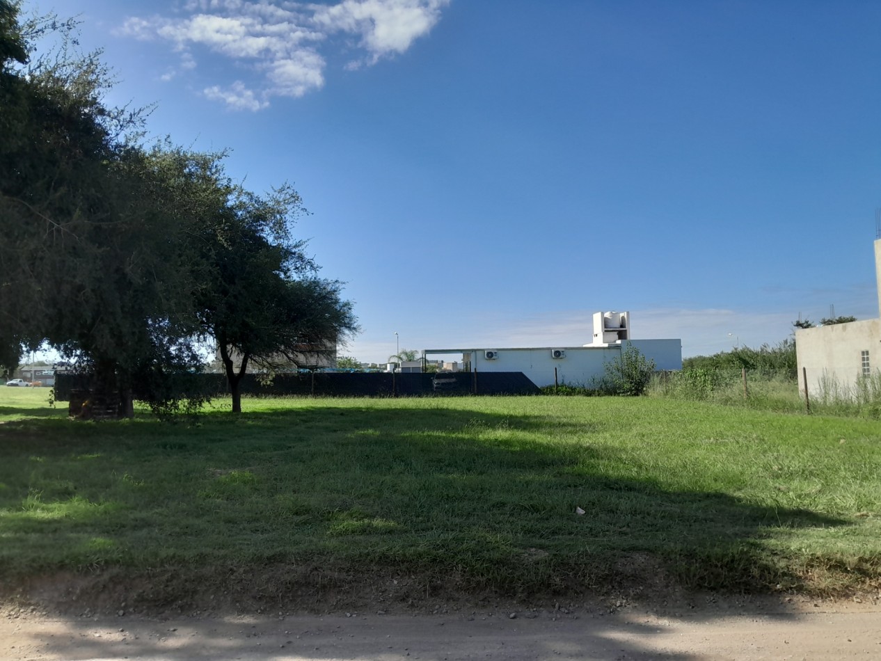 VENDO LOTE 700 m² - BELA VISTA/VILLA CATALINA