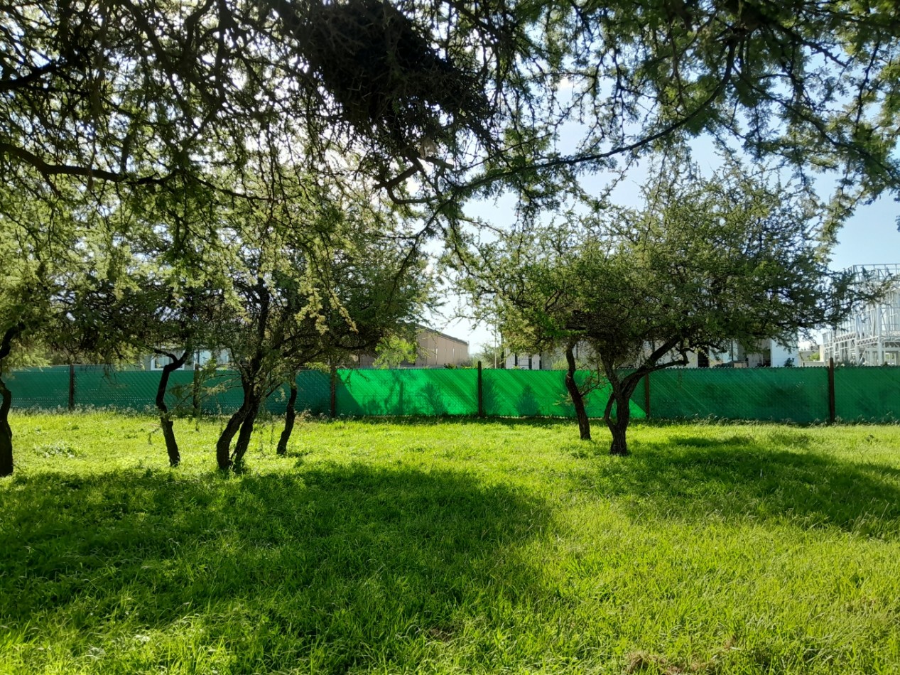 VENDO LOTE 700 m² - BELA VISTA/VILLA CATALINA