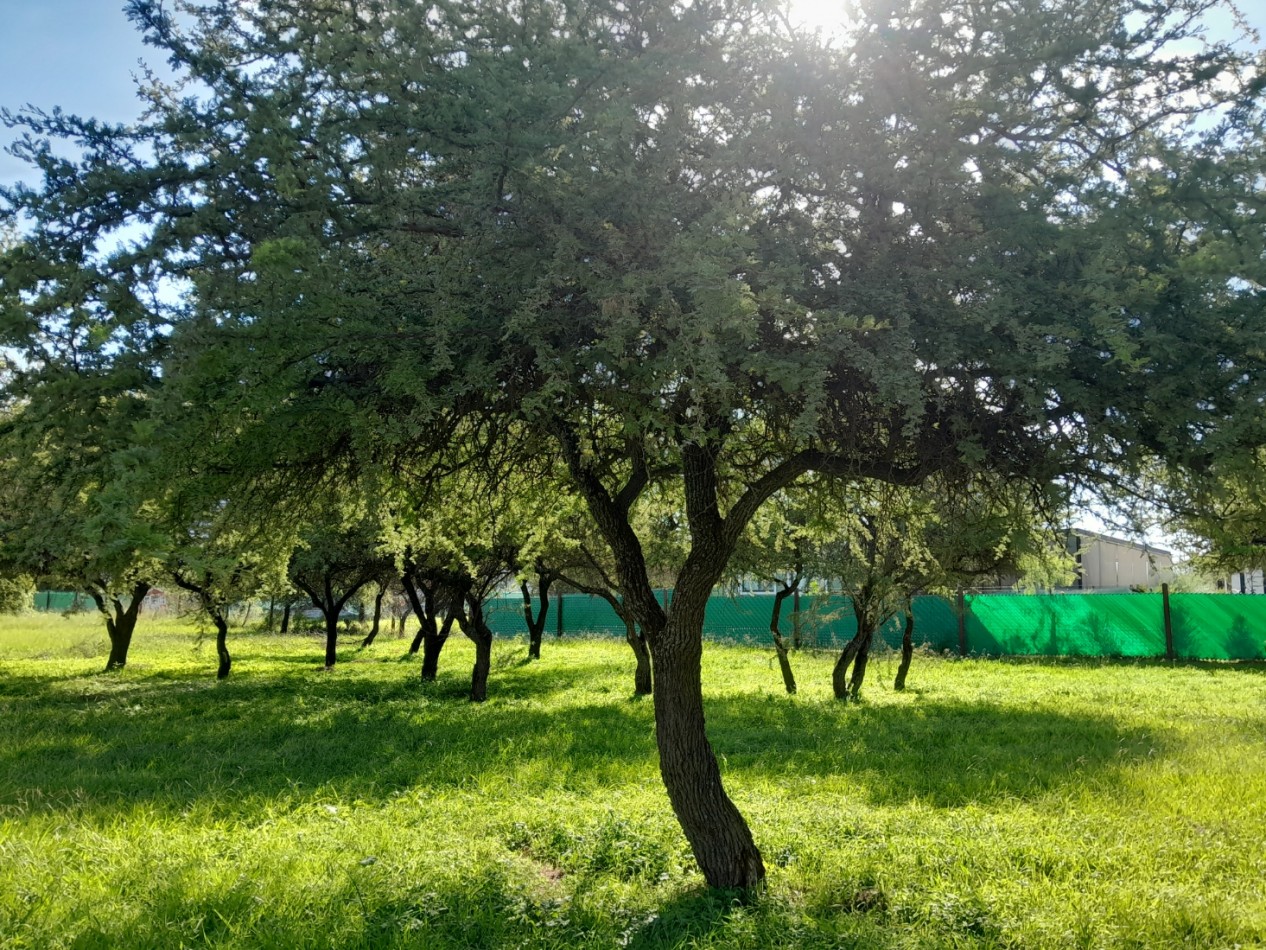 VENDO LOTE 700 m² - BELA VISTA/VILLA CATALINA