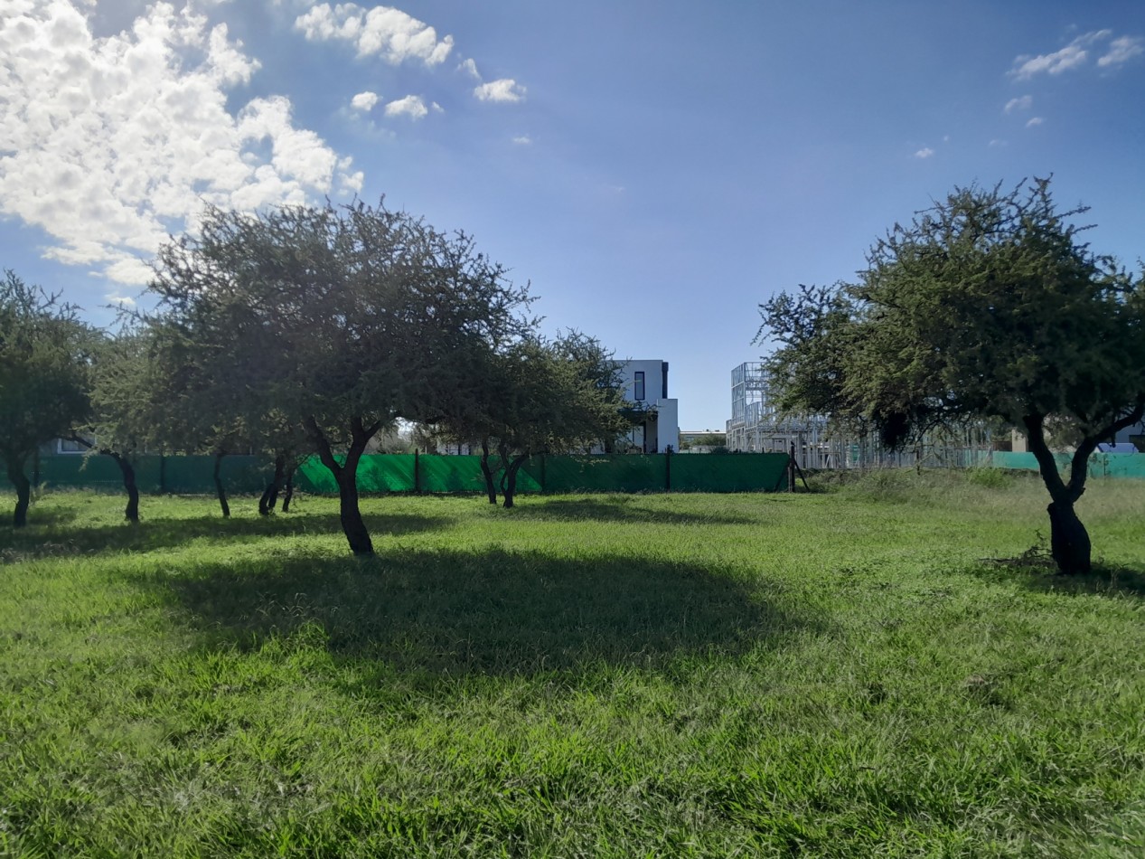 VENDO LOTE 700 m² - BELA VISTA/VILLA CATALINA