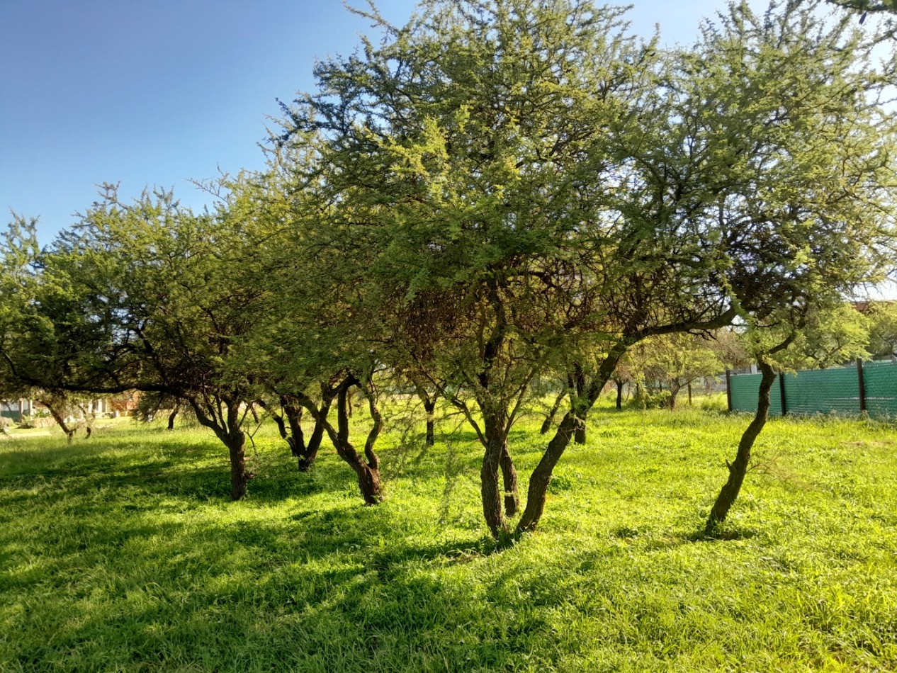 VENDO LOTE 700 m² - BELA VISTA/VILLA CATALINA