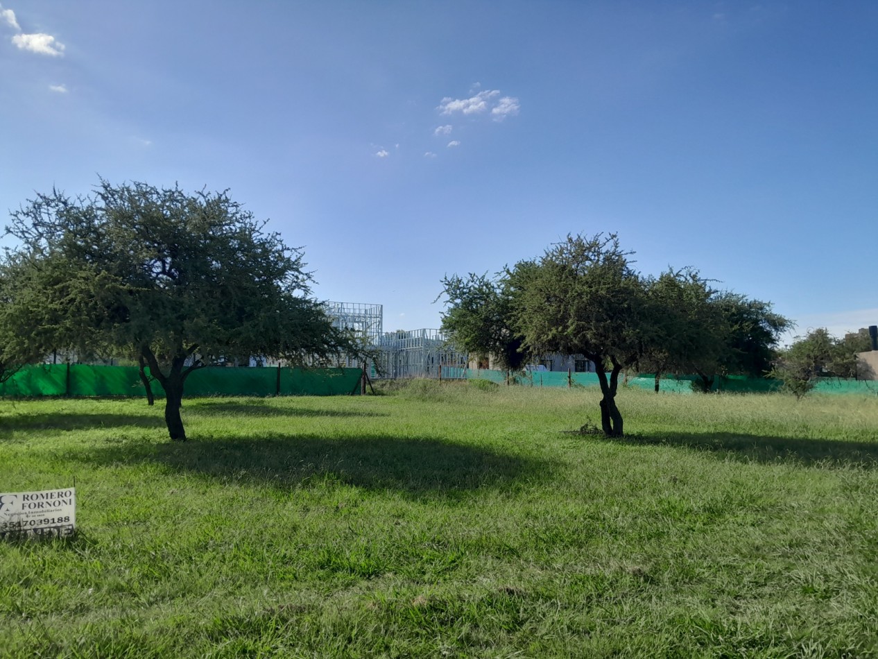 VENDO LOTE 700 m² - BELA VISTA/VILLA CATALINA