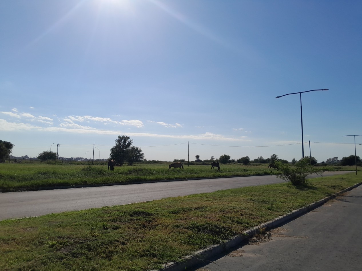 VENTA | 2 LOTES CONTIGUOS 360 m² - B° Tres Gracias, 2° Etapa