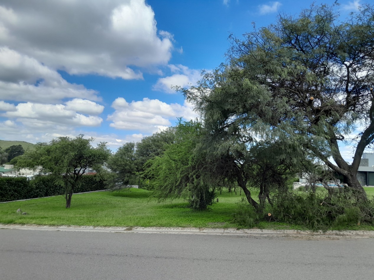 VENDO LOTE 1.243 M2 COUNTRY LA ARBOLADA. LOTE CENTRAL - ZONA ALTA!