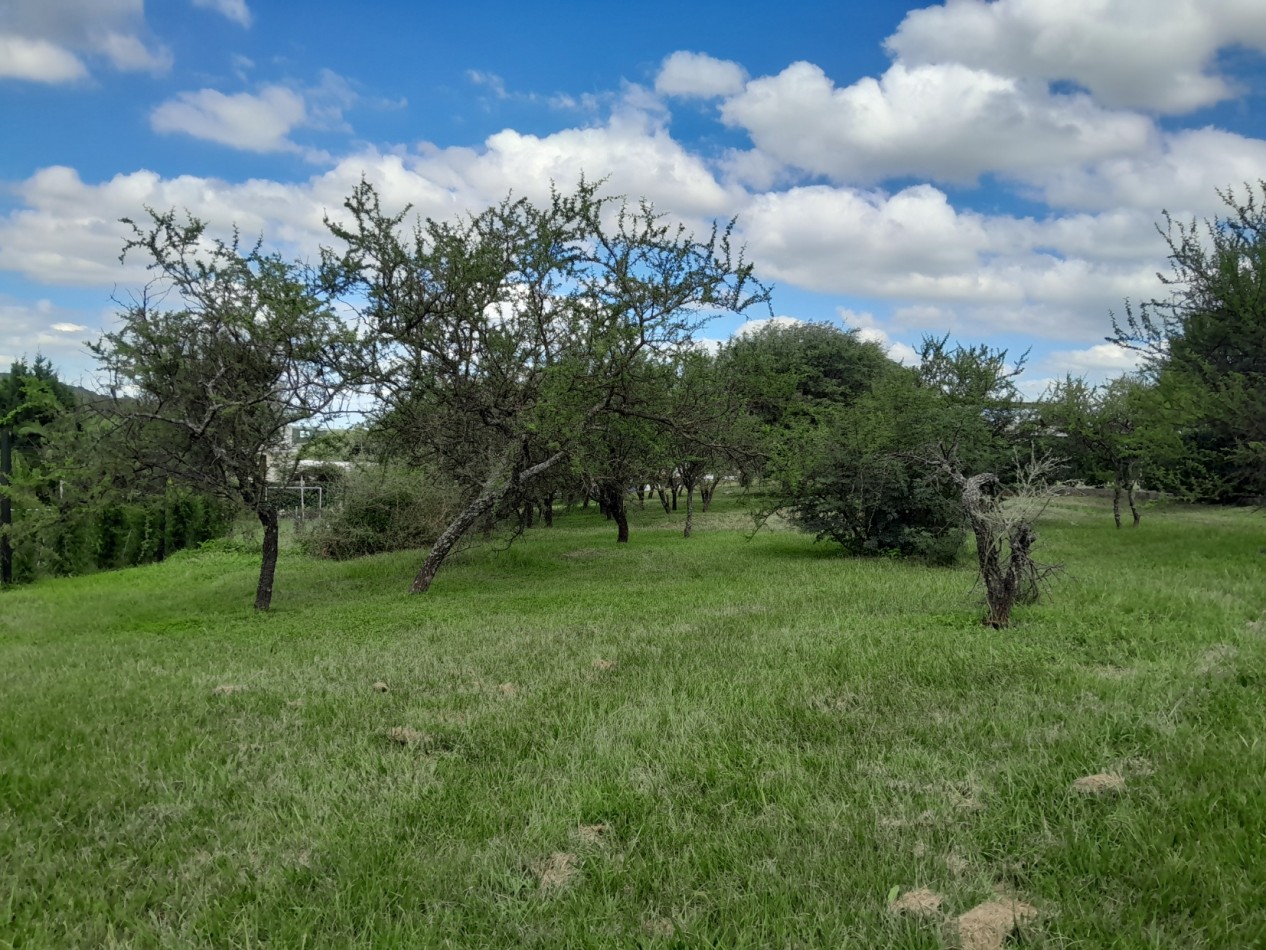 VENDO LOTE 1.243 M2 COUNTRY LA ARBOLADA. LOTE CENTRAL - ZONA ALTA!