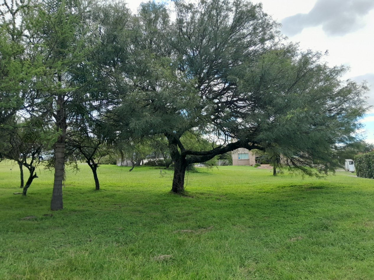 VENDO LOTE 1.243 M2 COUNTRY LA ARBOLADA. LOTE CENTRAL - ZONA ALTA!