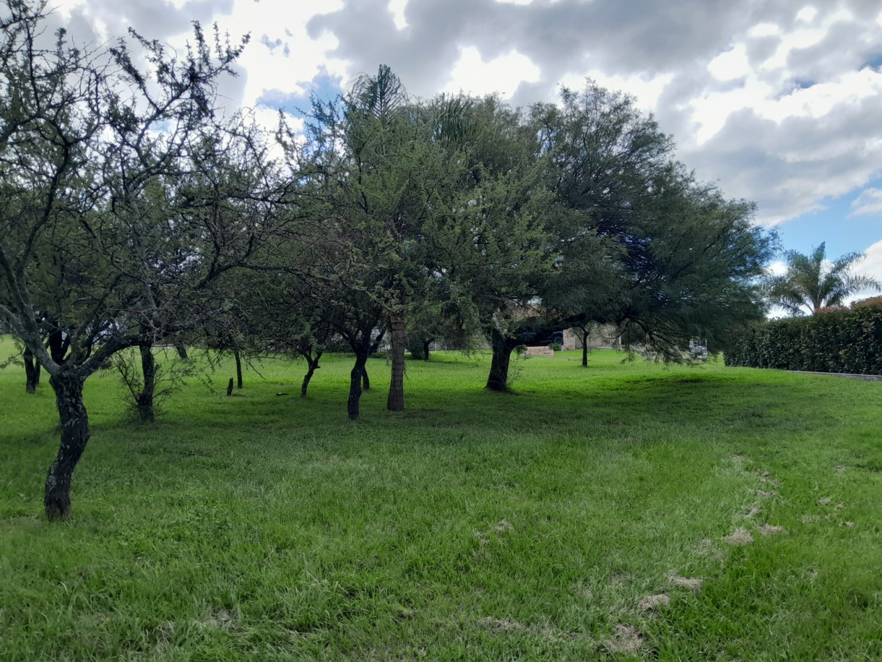 VENDO LOTE 1.243 M2 COUNTRY LA ARBOLADA. LOTE CENTRAL - ZONA ALTA!