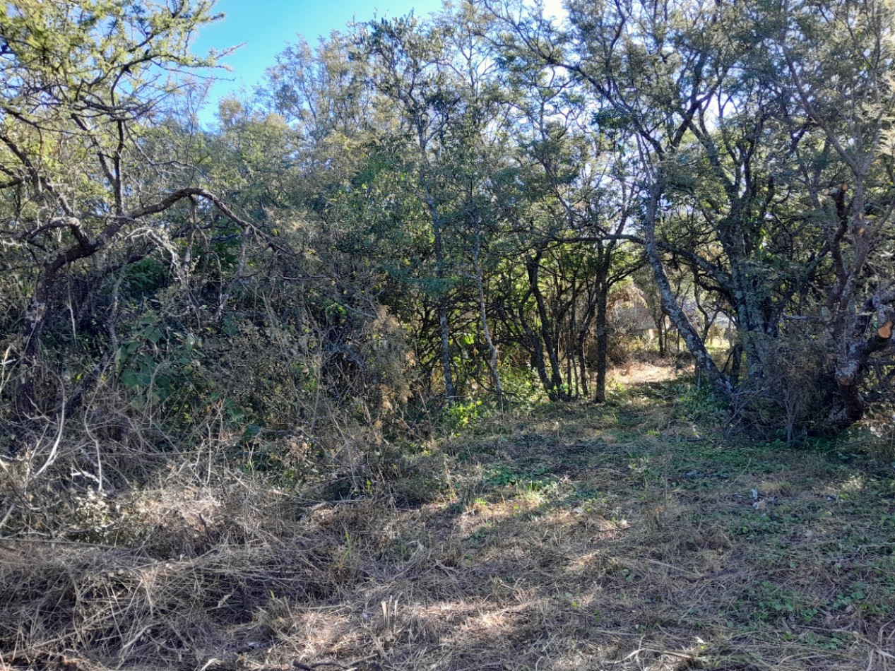LOTE EN VENTA 250/500 M2. B° PROSSUR/LOMAS DEL CHAÑAR - VISTA PANORAMICA!!!