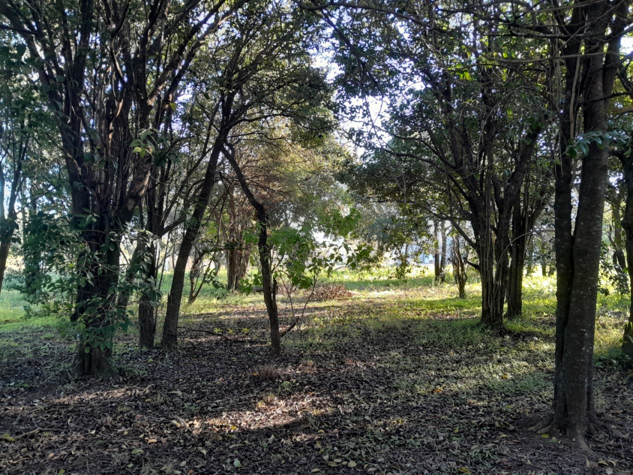 VENDO LOTE 476 M² EN AIRES DEL NORDESTE - VISTA DIRECTA A LAS SIERRAS