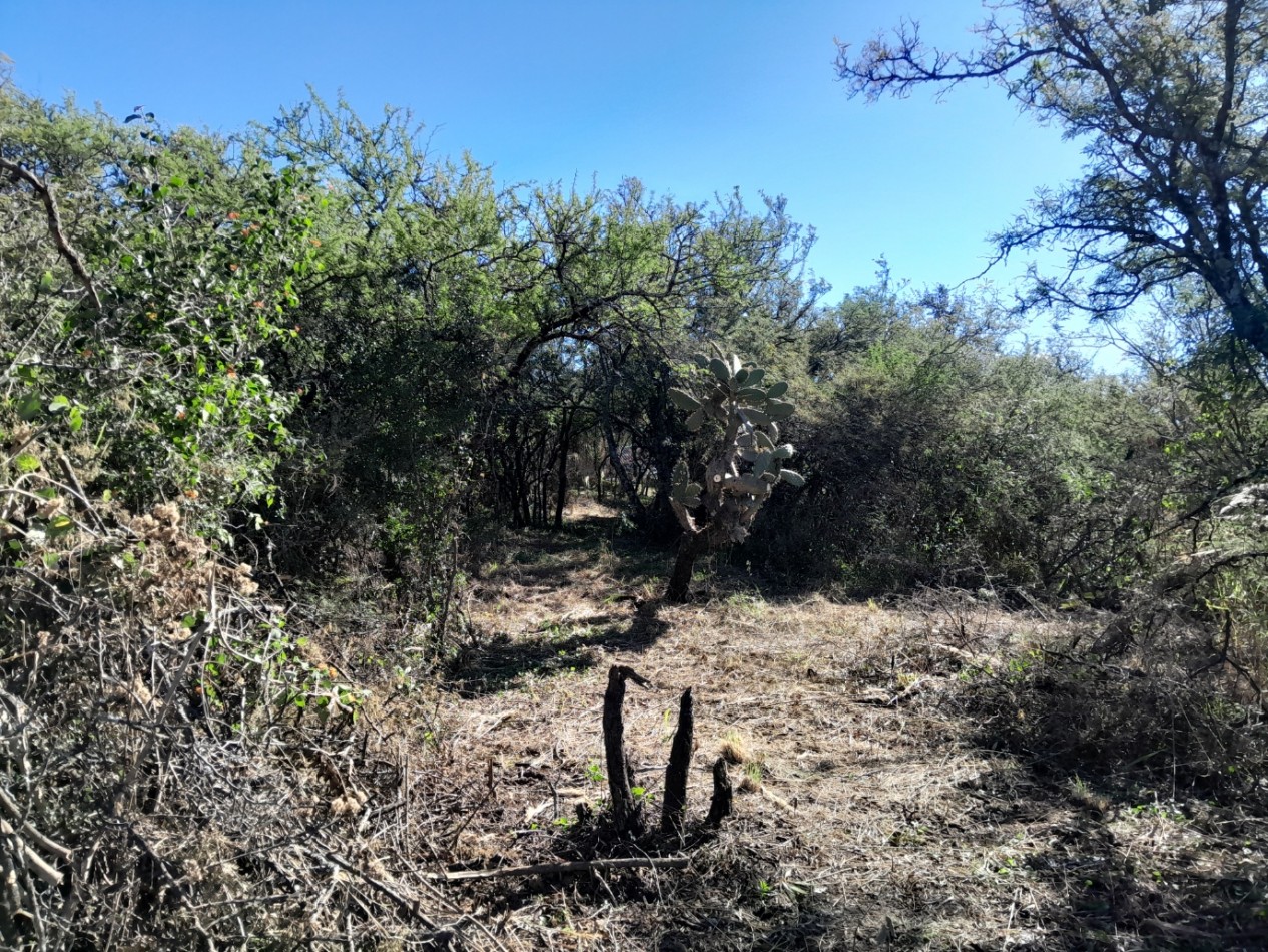 LOTE EN VENTA 250/500 M2. B° PROSSUR/LOMAS DEL CHAÑAR - VISTA PANORAMICA!!!