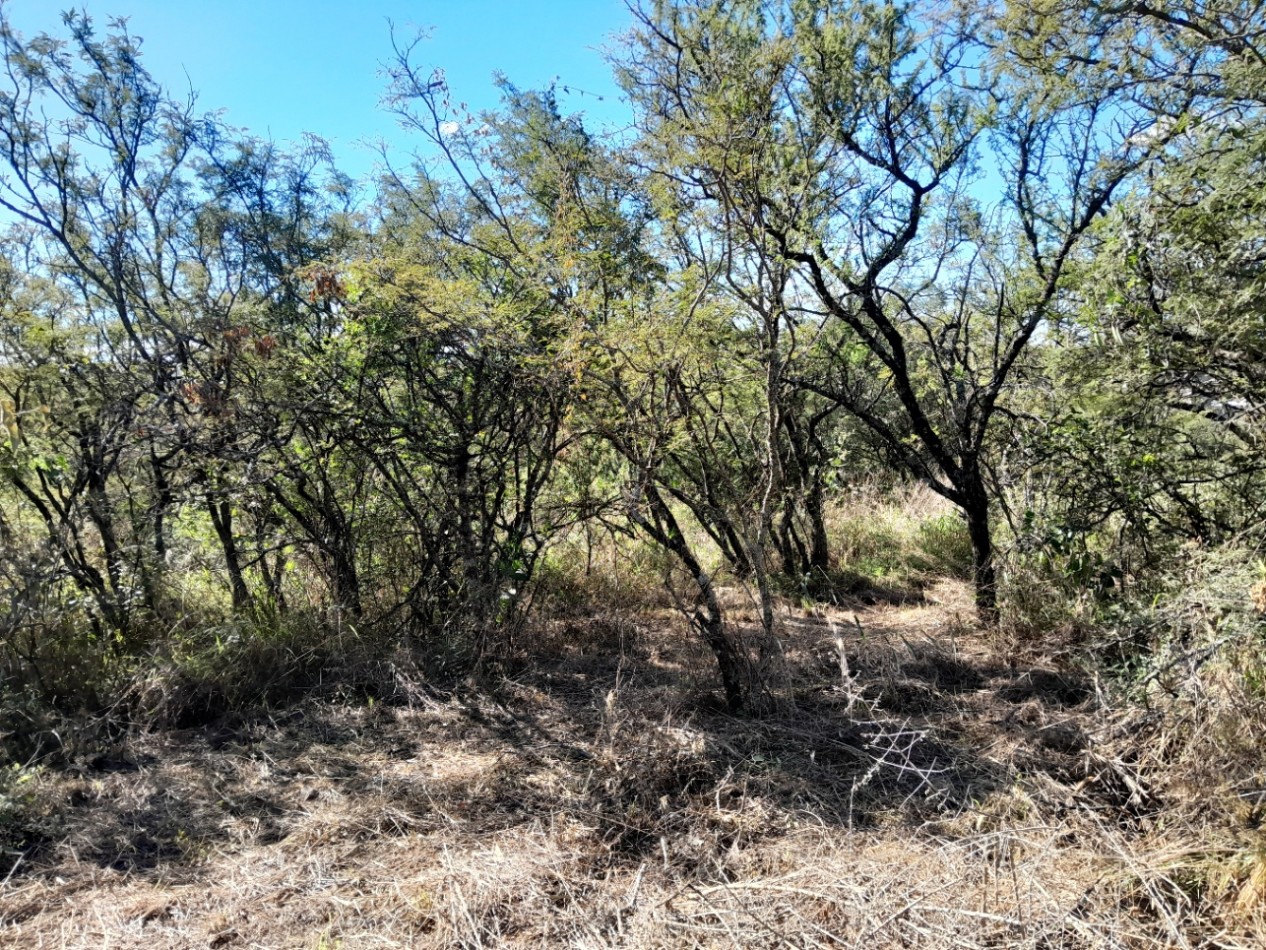LOTE EN VENTA 250/500 M2. B° PROSSUR/LOMAS DEL CHAÑAR - VISTA PANORAMICA!!!