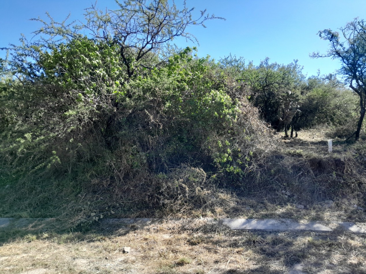 LOTE EN VENTA 250/500 M2. B° PROSSUR/LOMAS DEL CHAÑAR - VISTA PANORAMICA!!!