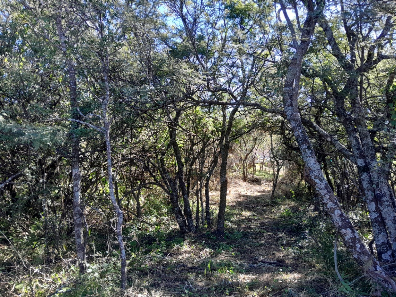 LOTE EN VENTA 250/500 M2. B° PROSSUR/LOMAS DEL CHAÑAR - VISTA PANORAMICA!!!