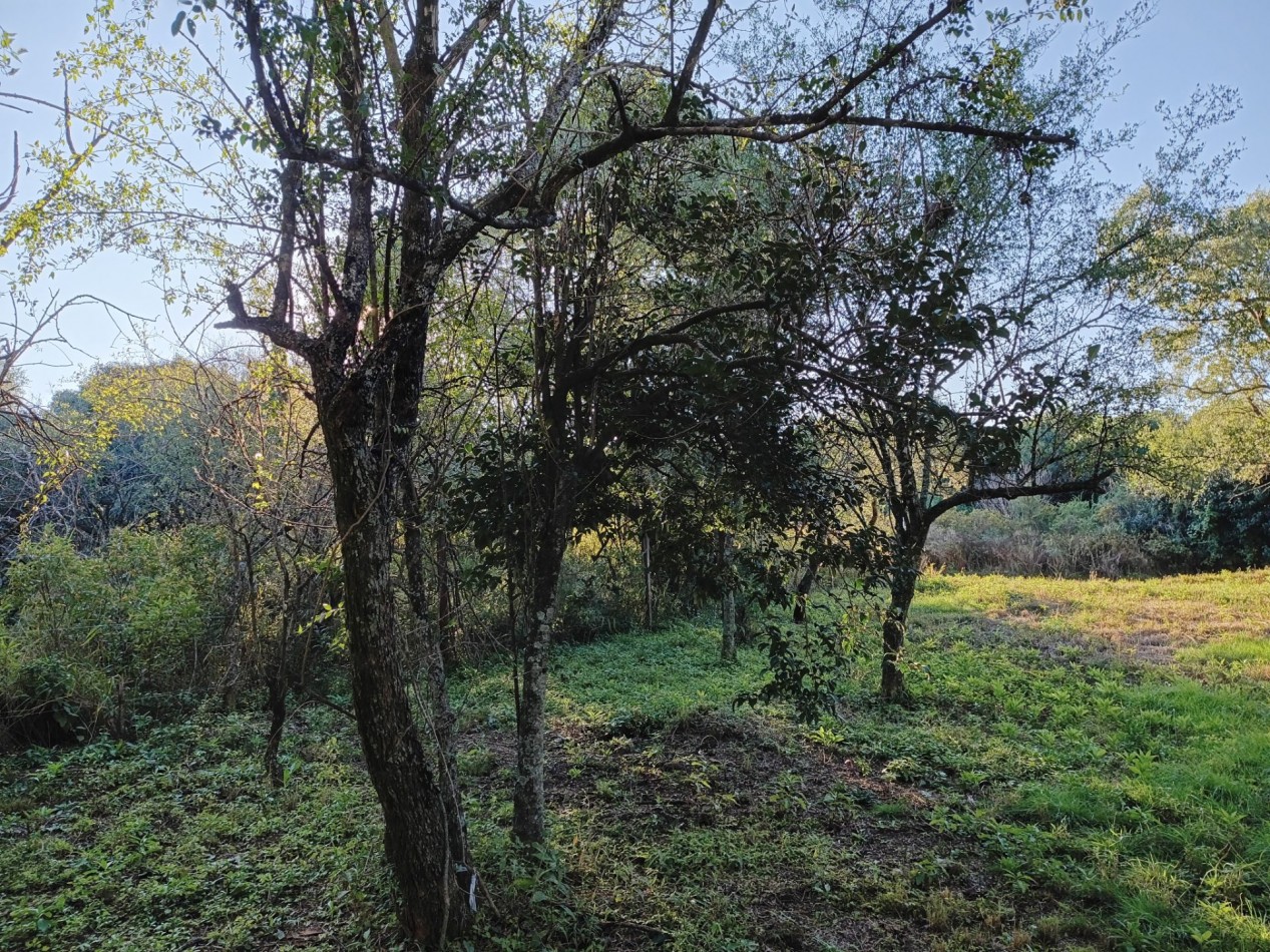 VENDO LOTE 476 M2 B° AIRES DEL NORDESTE